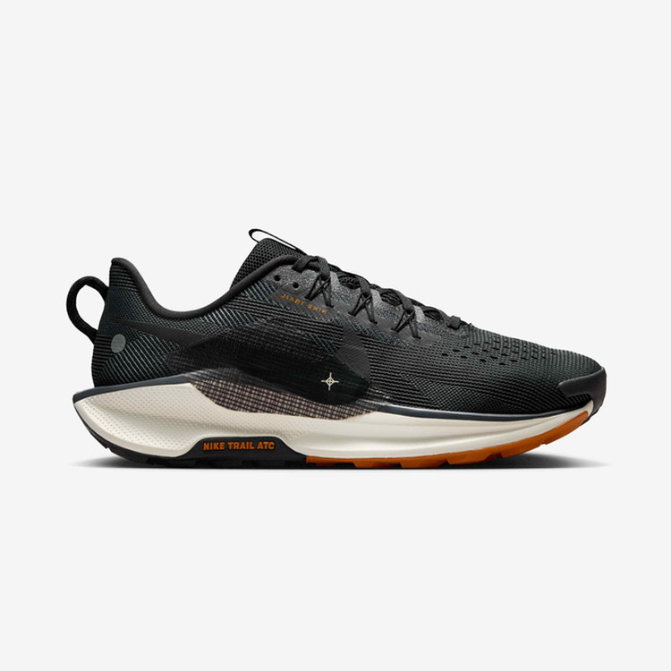 کفش ورزشی نایک پگاسوس تریل 5 Nike Pegasus Trail کد A307